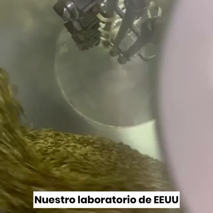 Conoce Naturemost