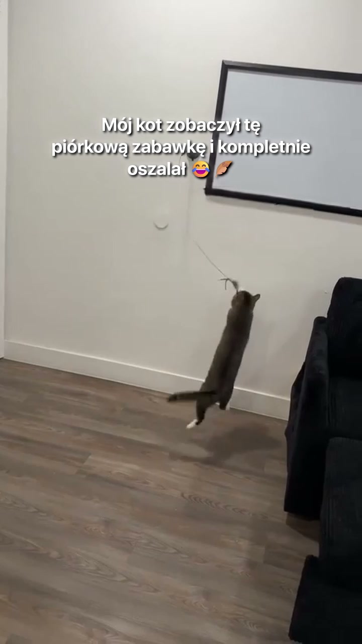 #1 Wędka DlaKota