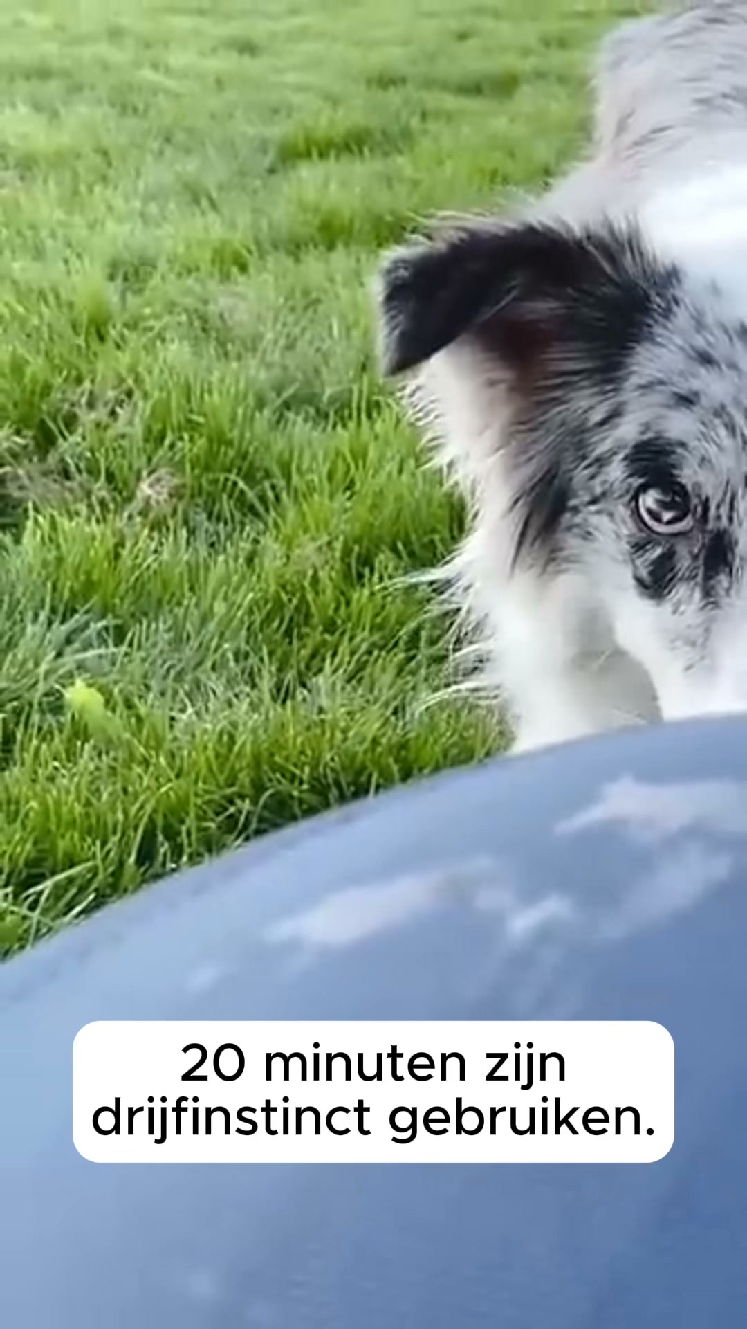 Wacht… kun je ze ook echt moe krijgen dan?