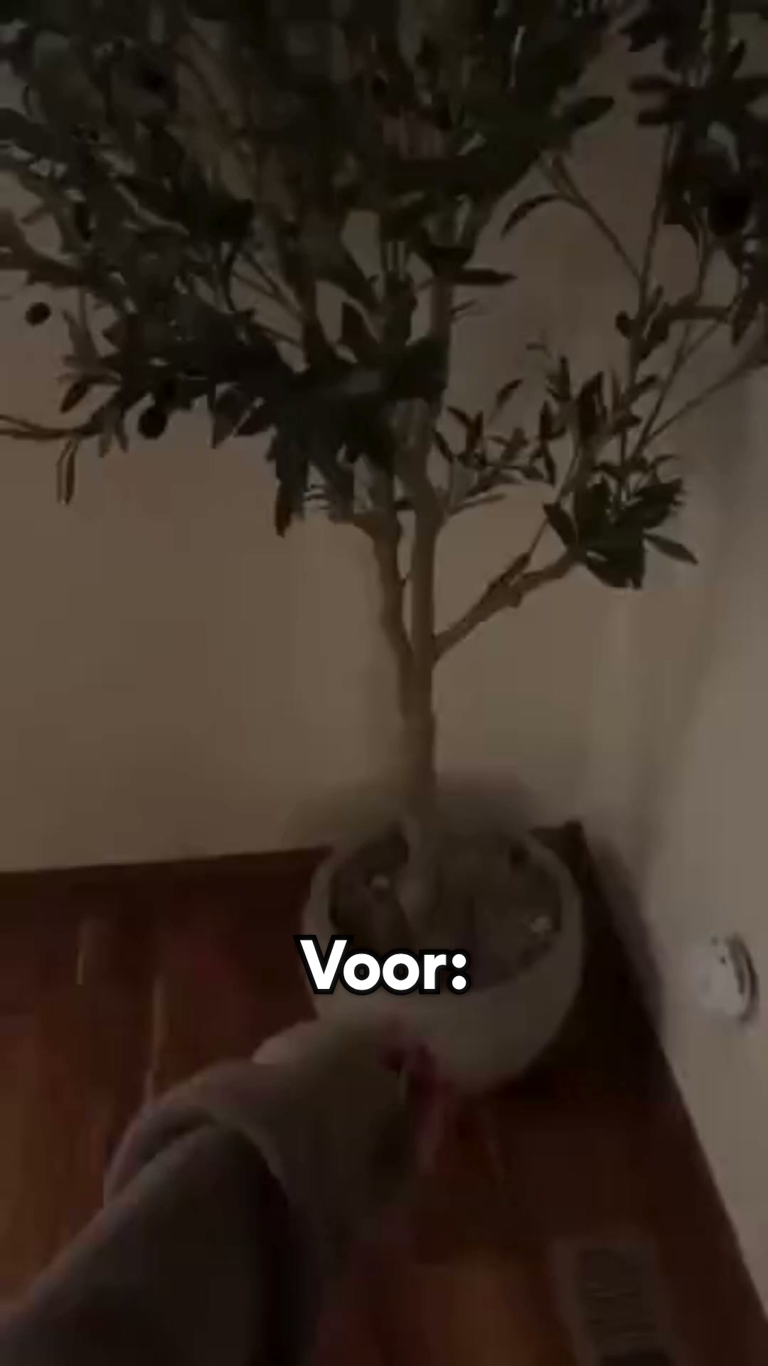 Van onzichtbaar naar middelpunt