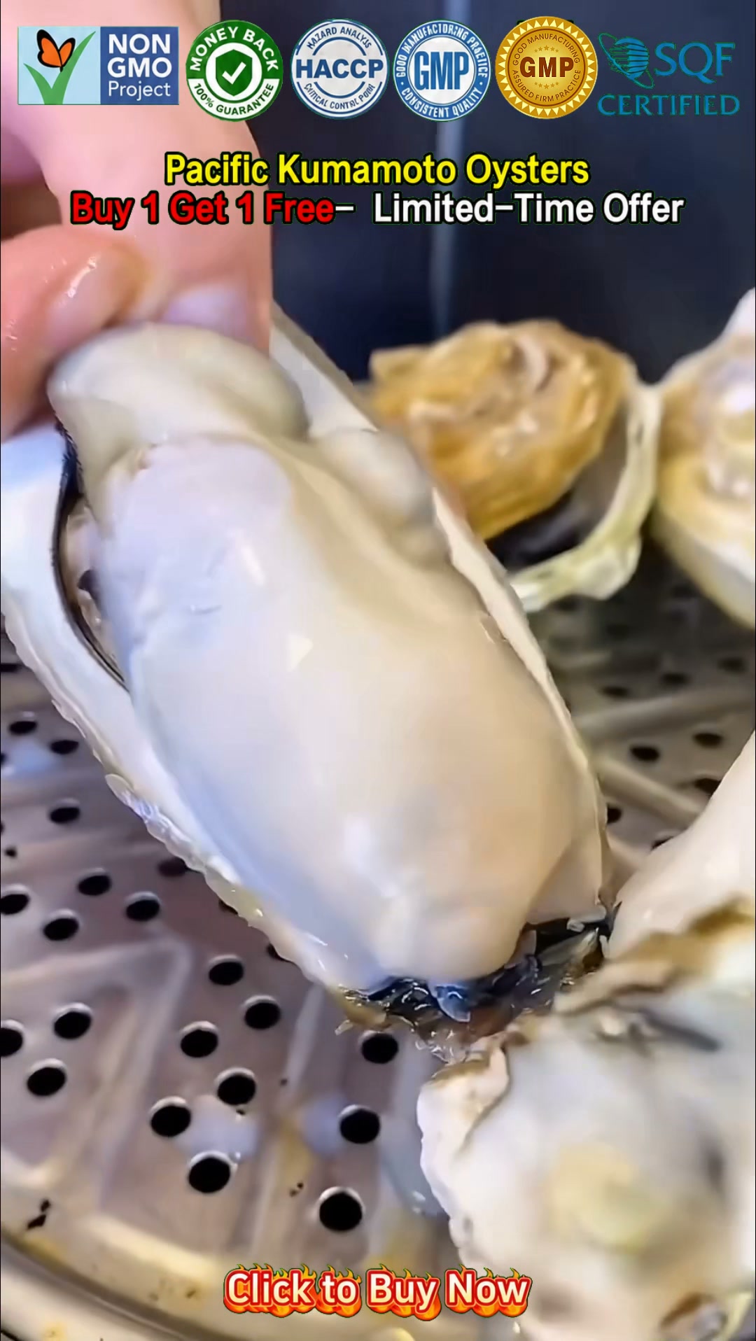 BIG·JUICY·TENDER PURE OYSTER PERFECTION!