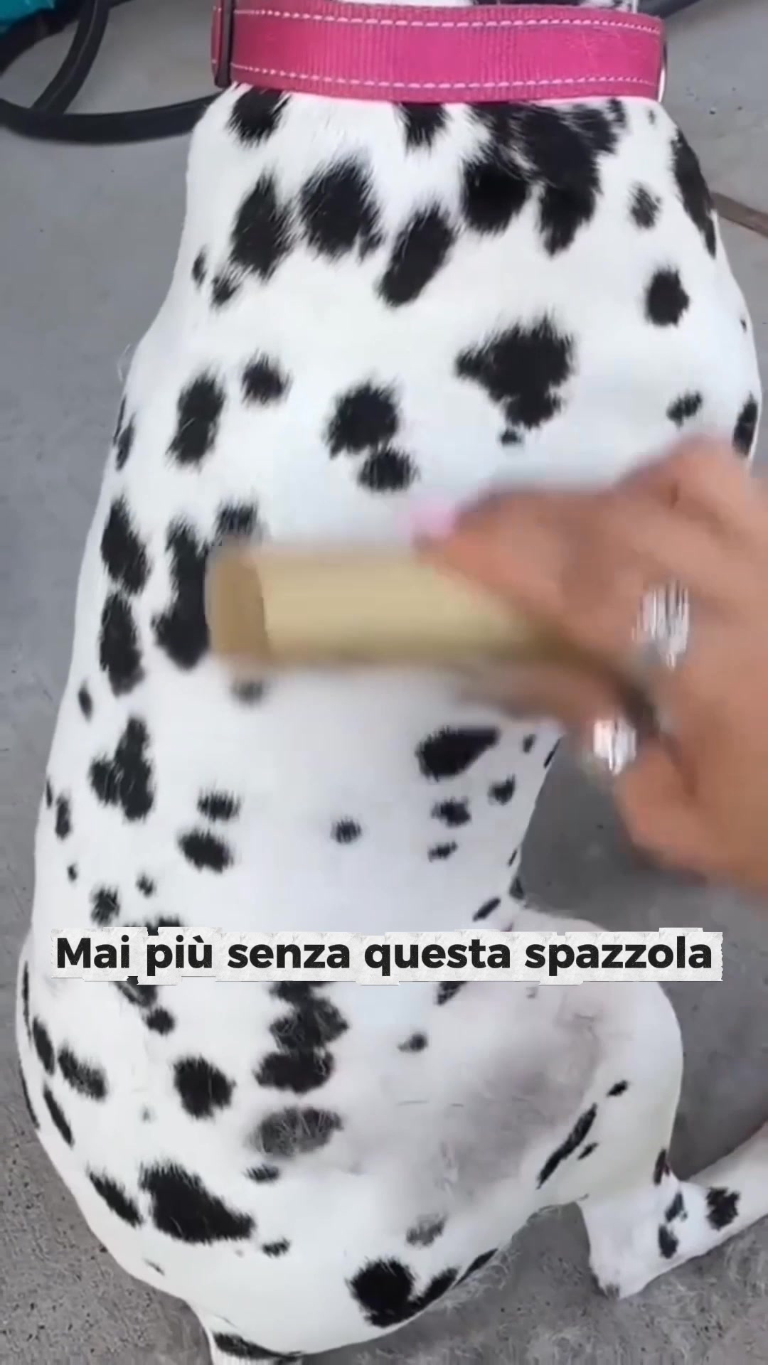 Provalo per 30 giorni senza alcun rischio