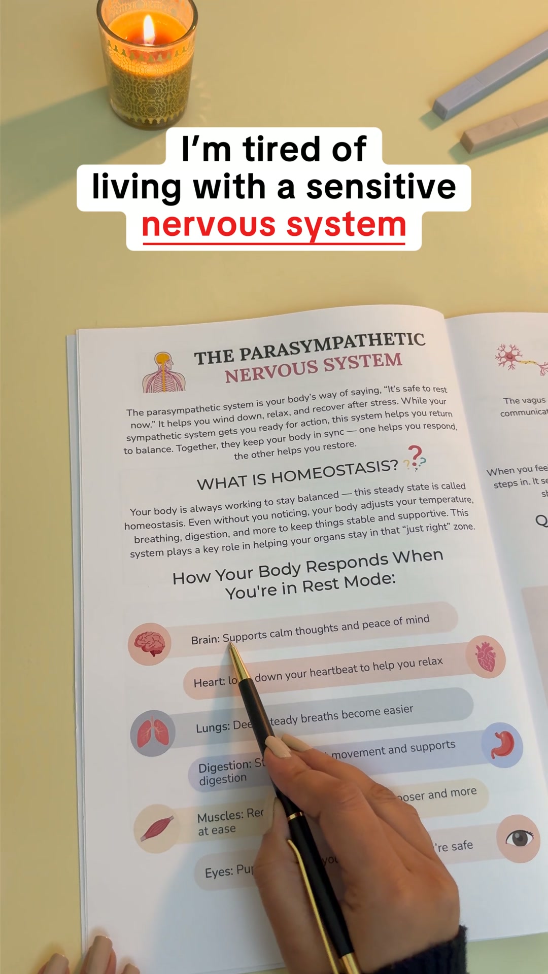 Tired of living with a sensitive nervous system - give it the regulation it needs at 90% off today.