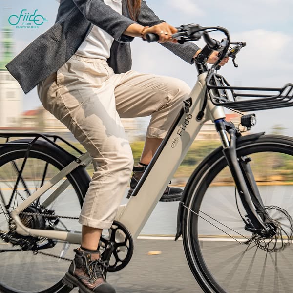 Fiido C11 Elektrofahrrad