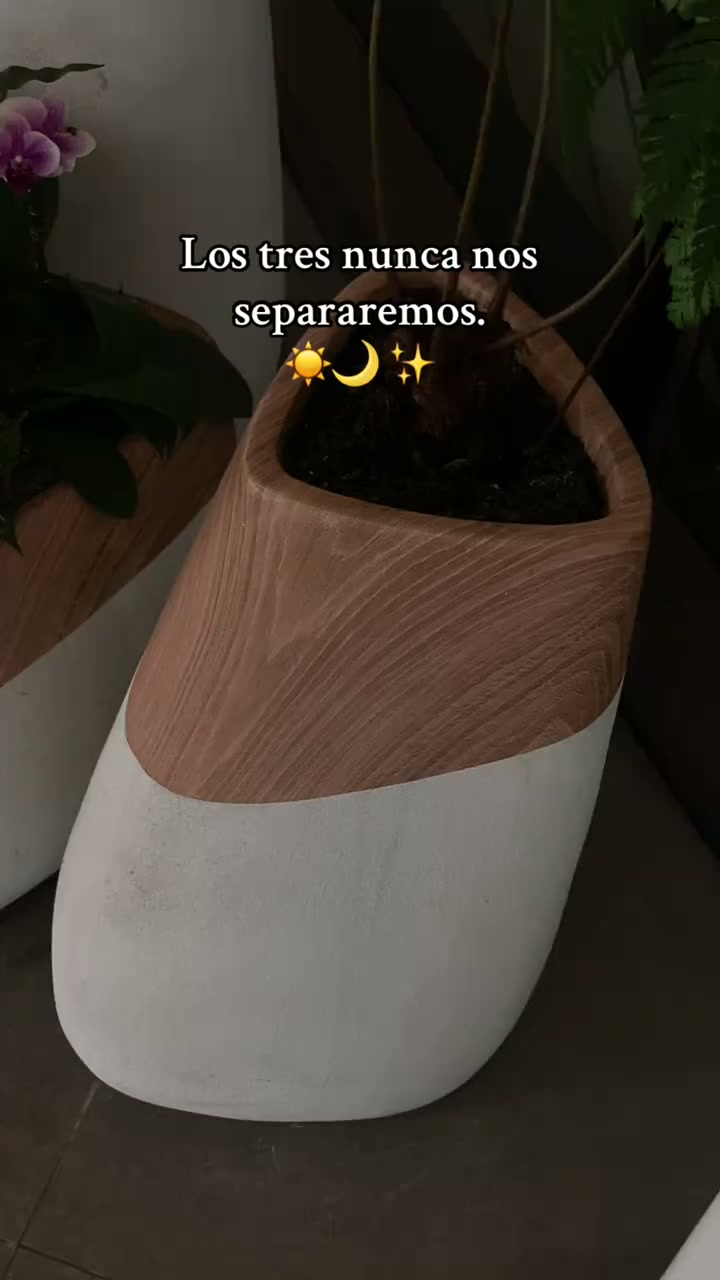 50% OFF TODAY!