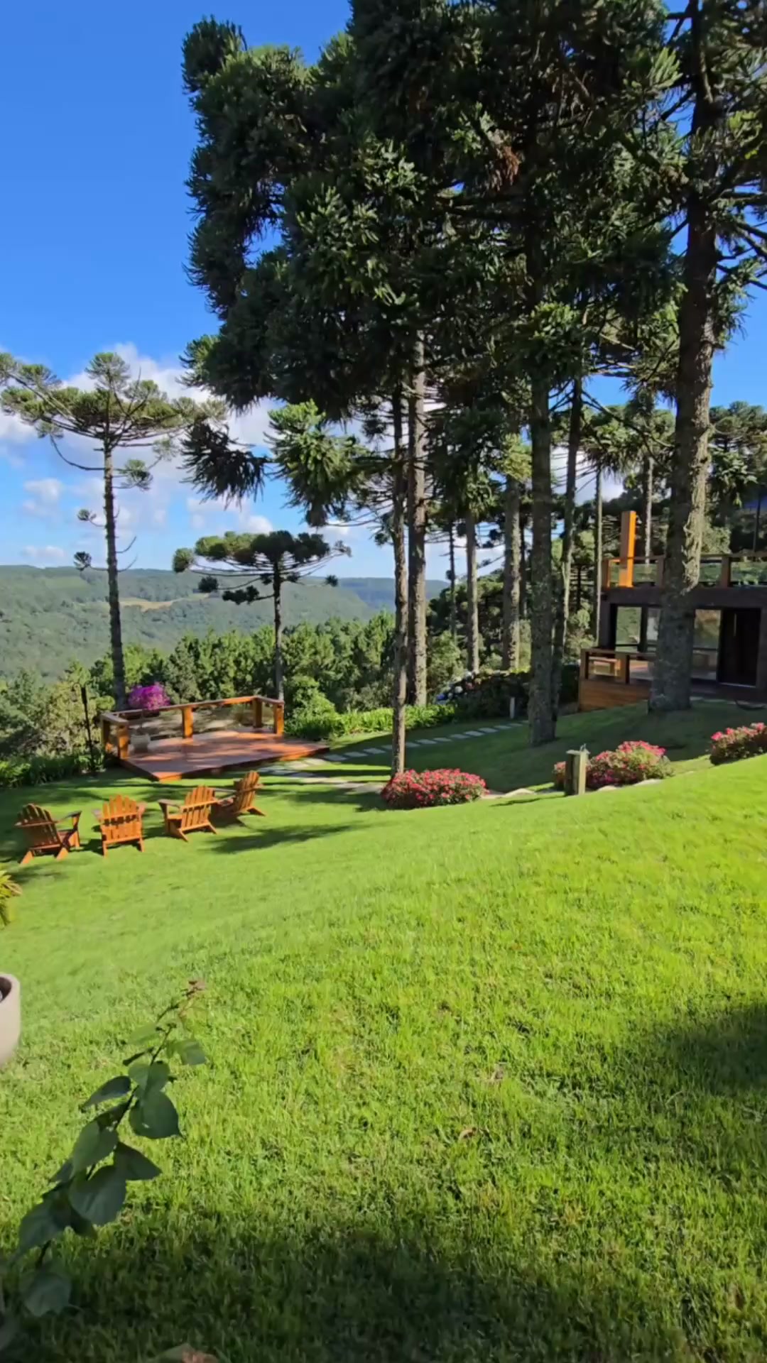 +150 projetos de casas de campo