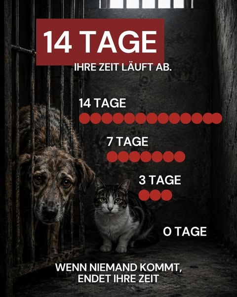 14 Tage können über ein Leben entscheiden.