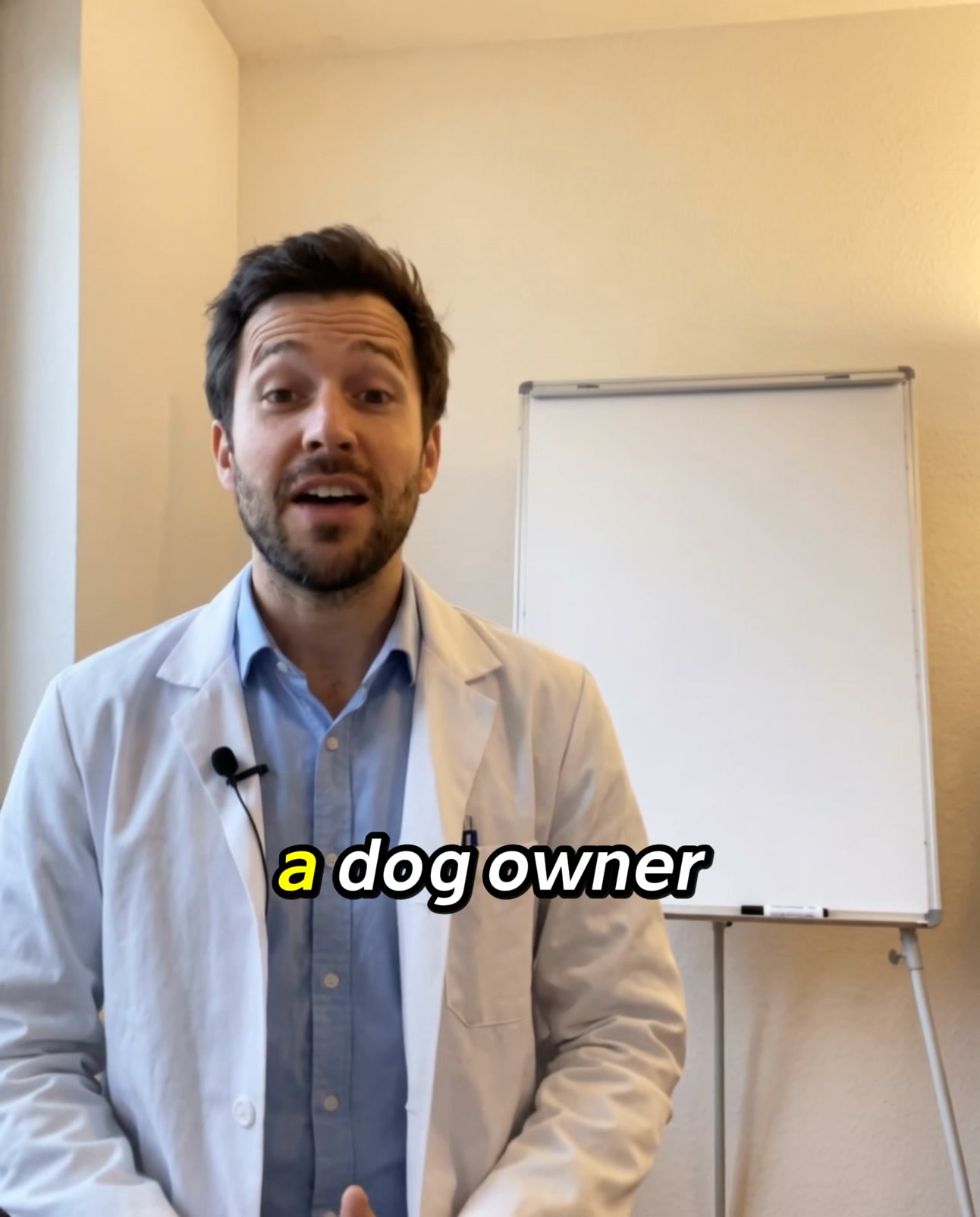 Dog Still Itching After Apoquel? Check the Gut.