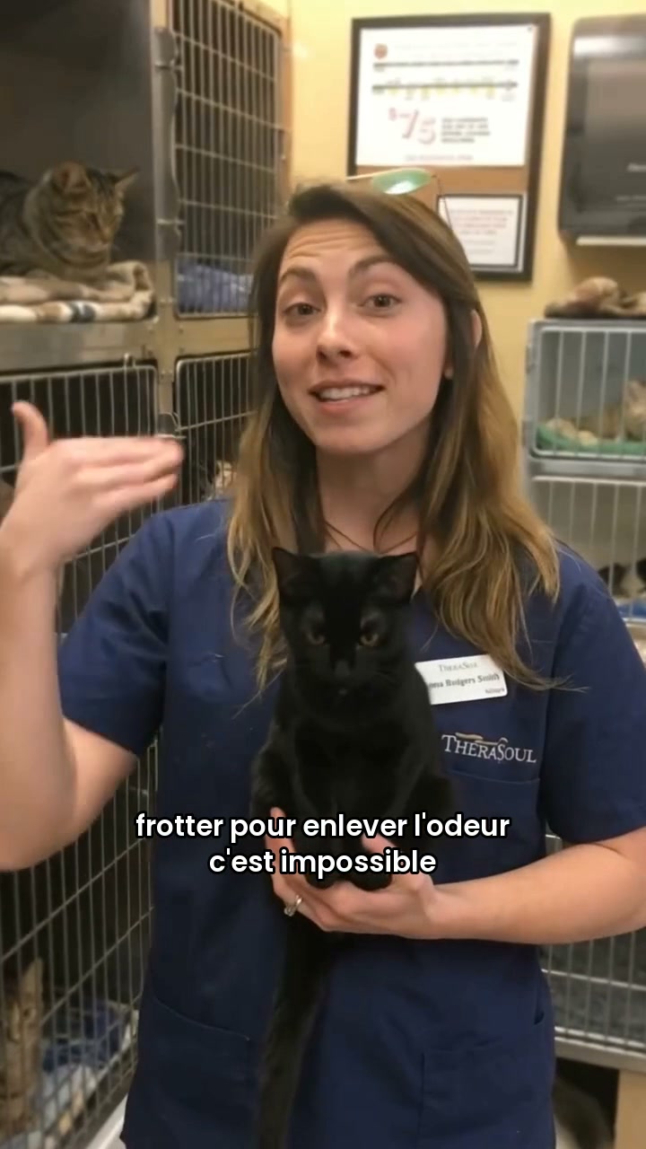 Élimine vite les odeurs de chien et chat !