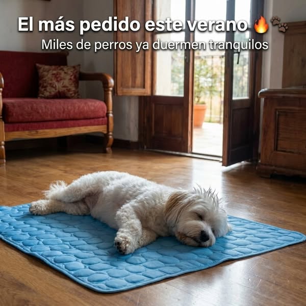 Dale su rincón fresco este verano