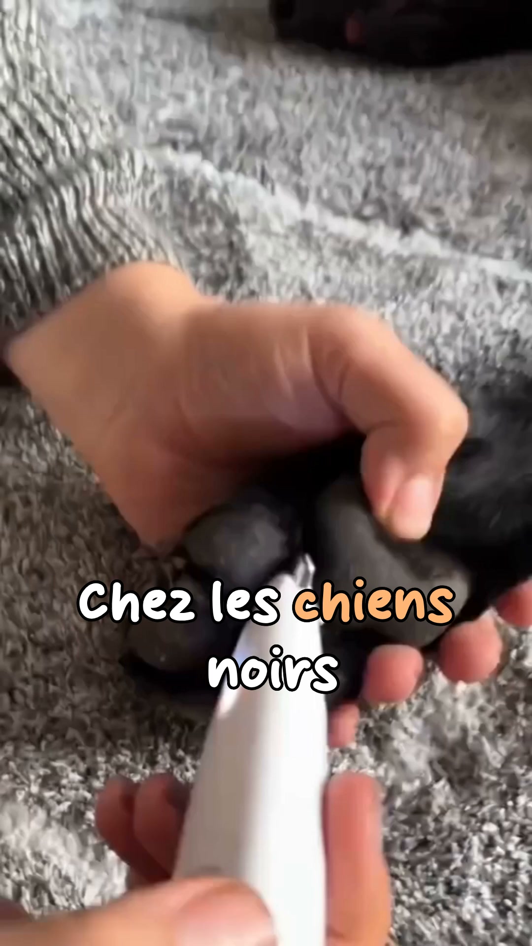 50% AUJOURD'HUI • Livraison offerte
