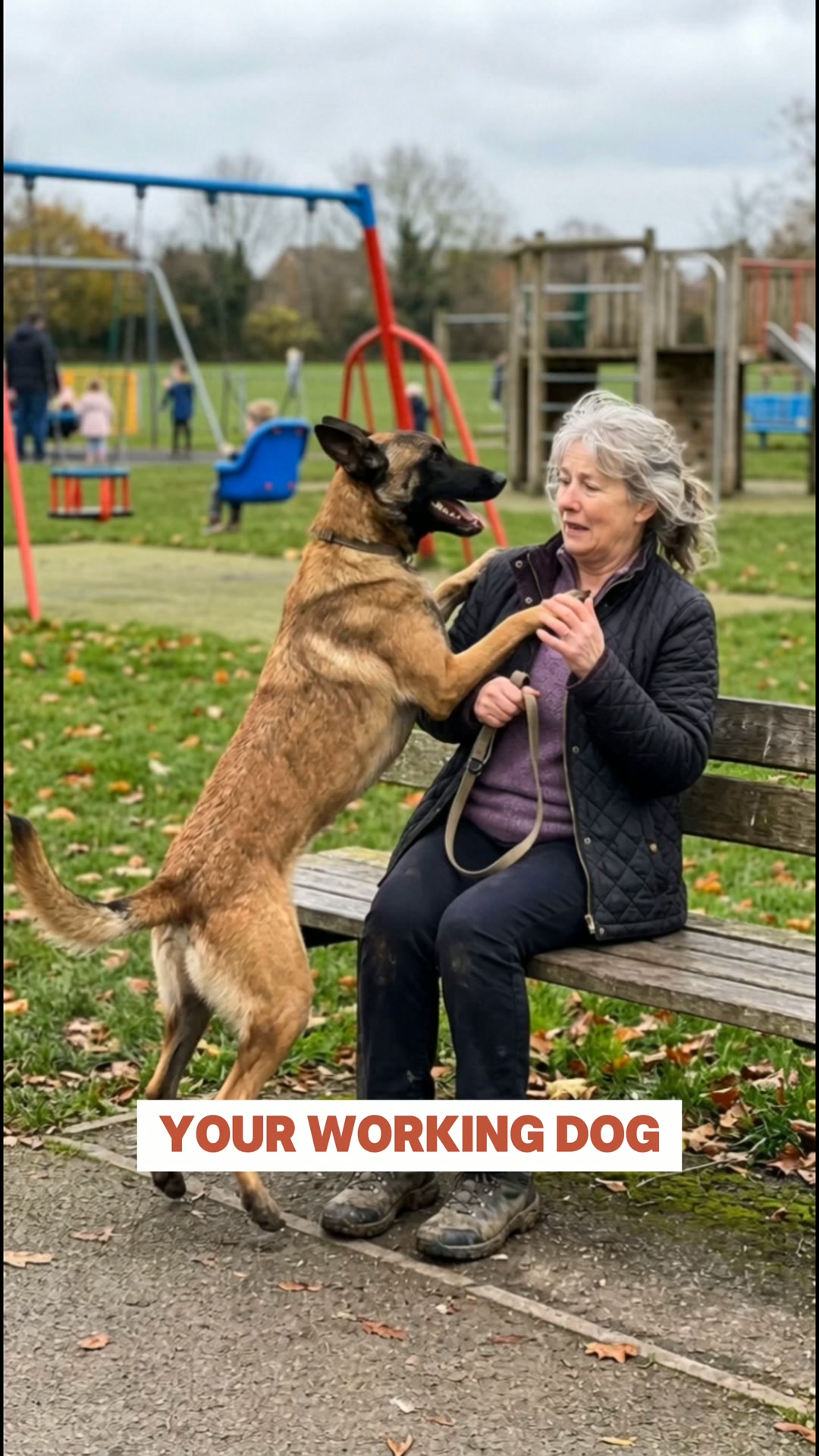 Your Dog Isn't Broken