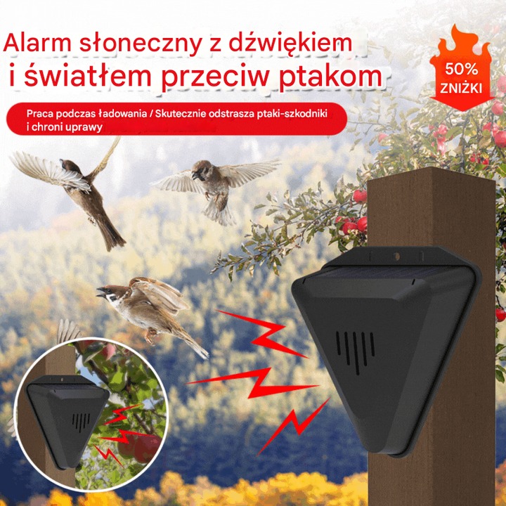 Darmowa dostawa Płatność gotówką przy odbiorze