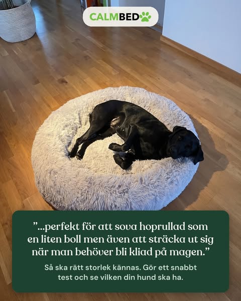 Så ska rätt storlek kännas