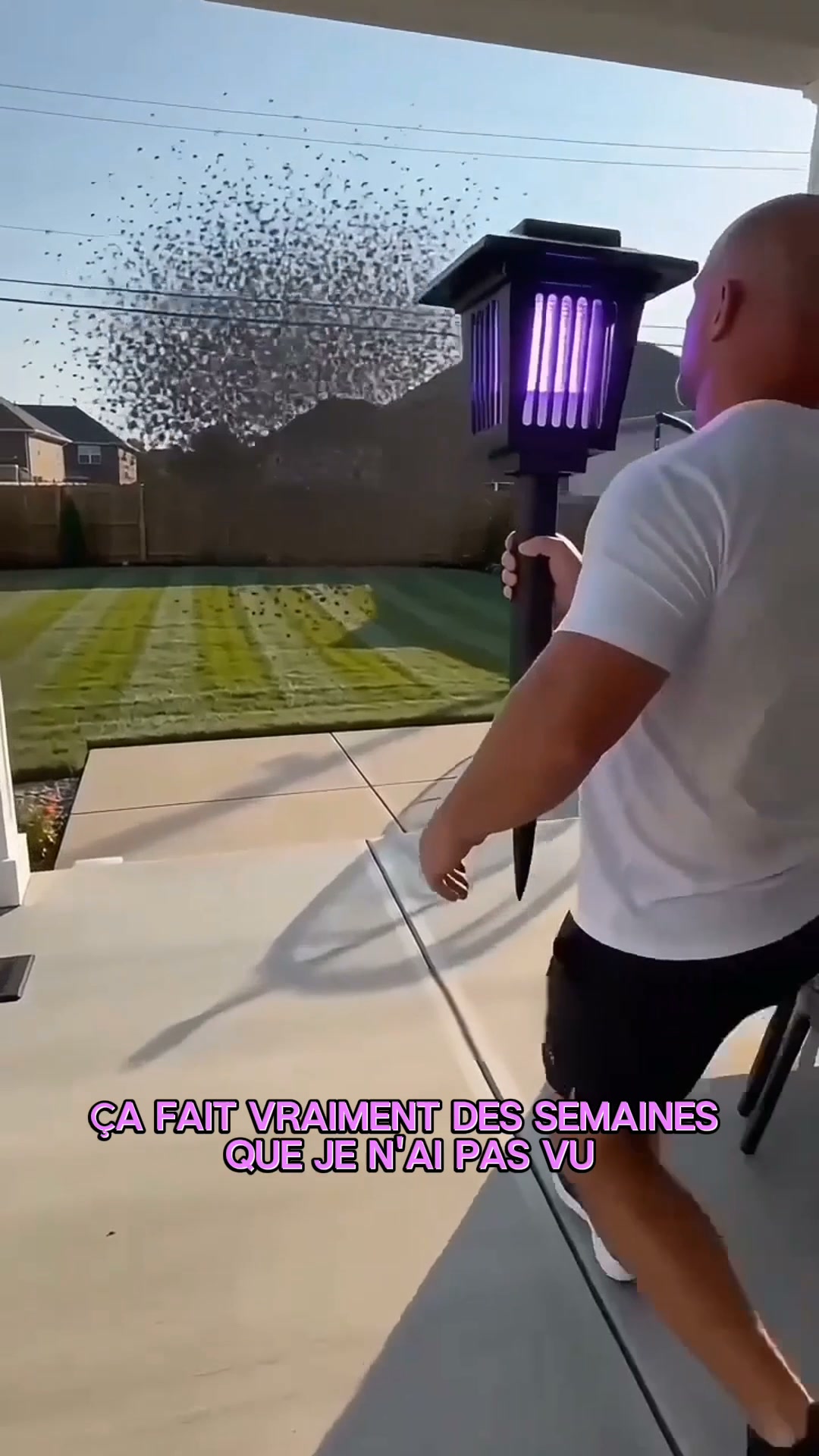 2 + 1 GRATUIT