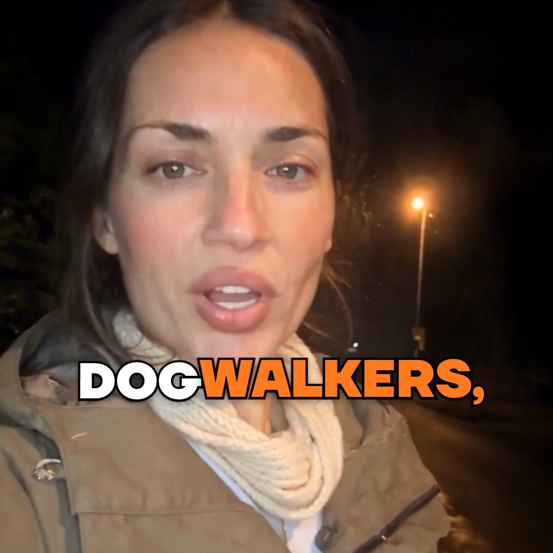 Your evening dog walk, fully lit