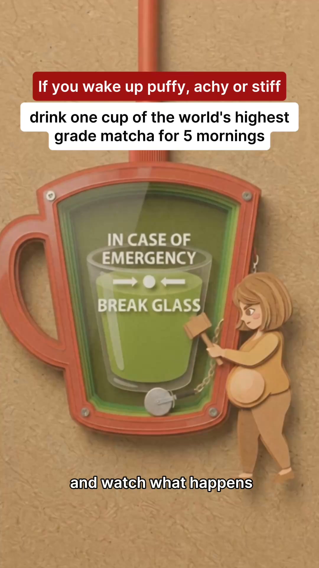 100% Money-Back Guarantee
