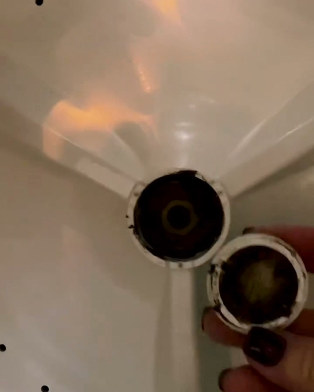 Beseitige Bakterien & Tiergerüche aus deiner Waschmaschine