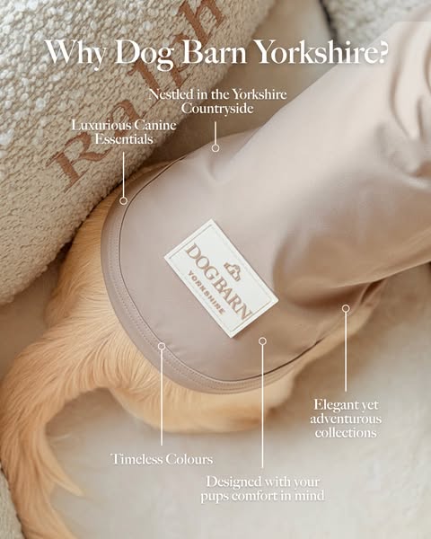 Treat your pup today