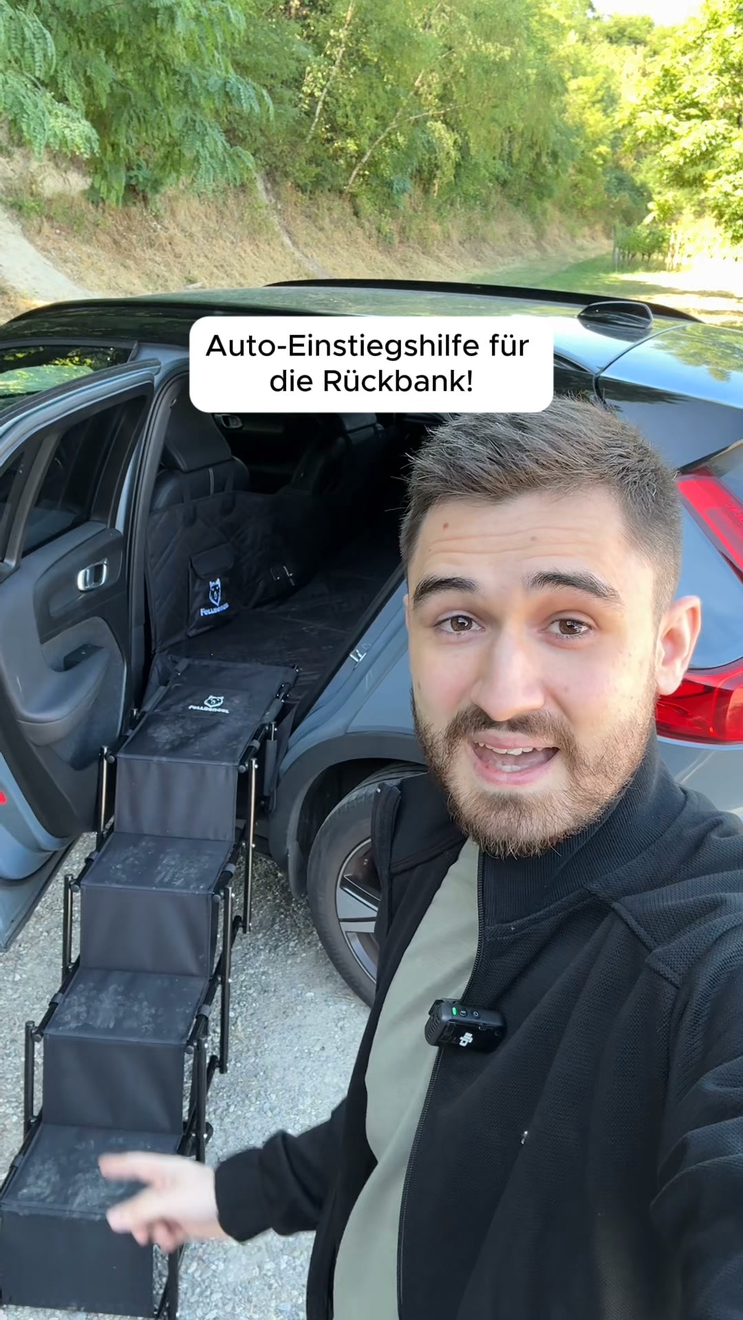 Endlich eine Hundetreppe für die Rückbank