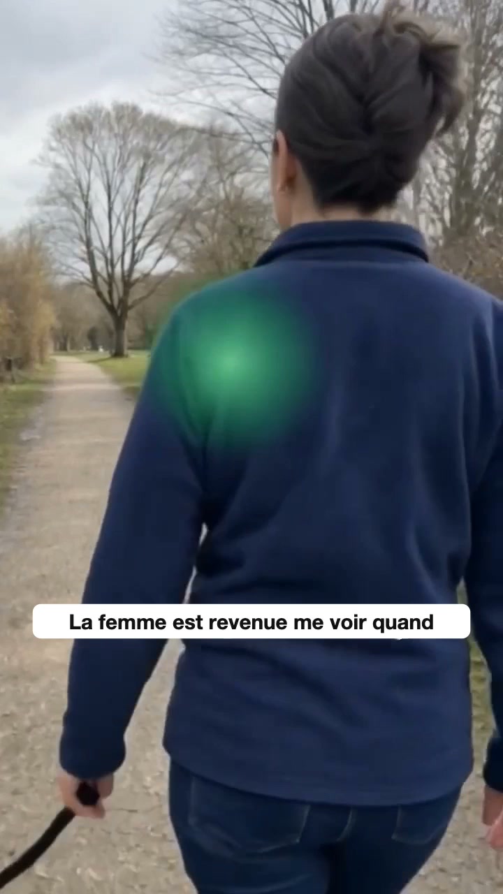 Le harnais anti-traction qui fait changer de direction à votre chien