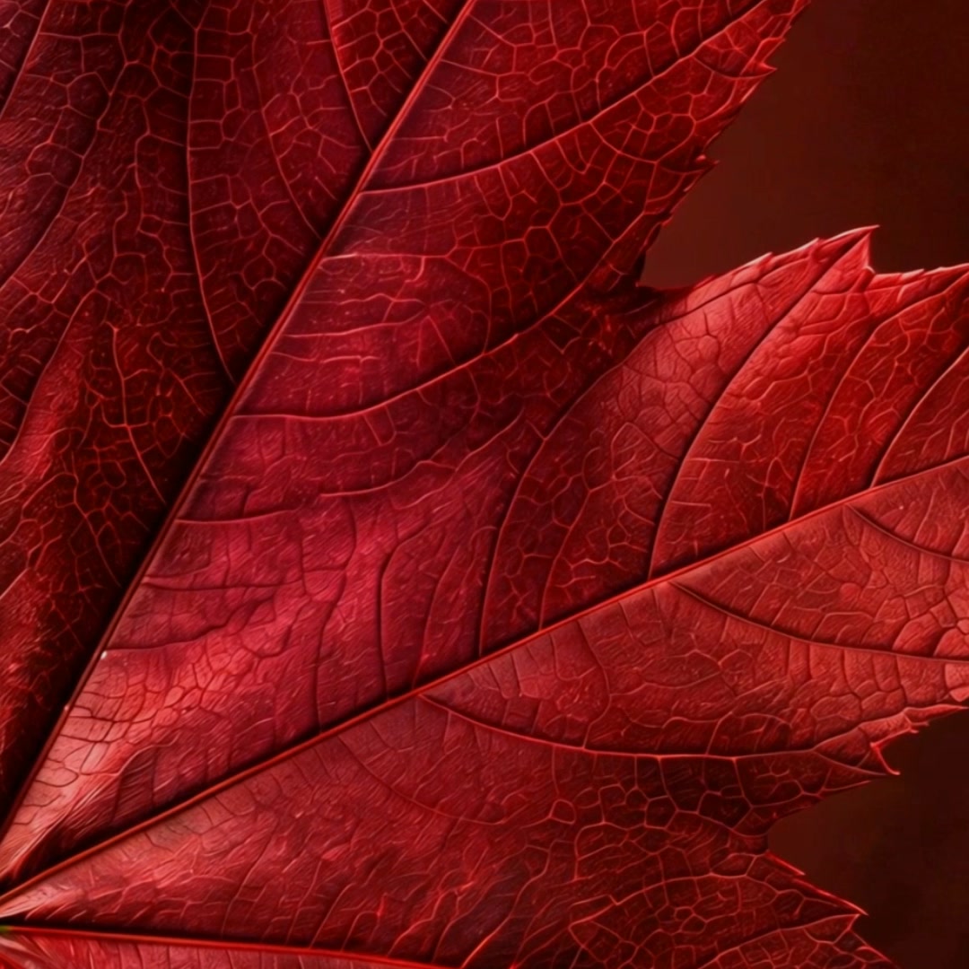 Get Host-Ready for Less at Fishpools