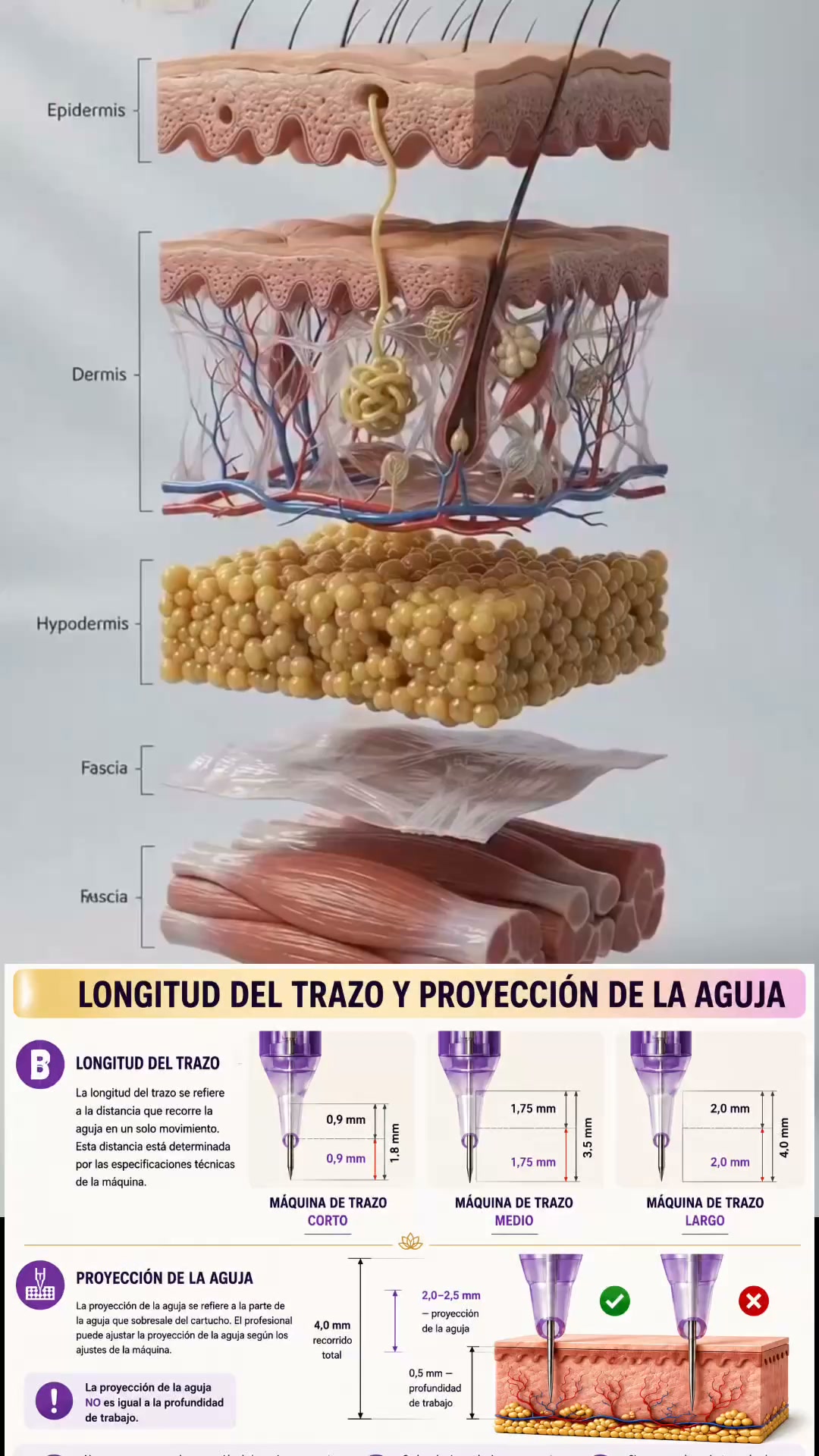 ¡DOMINA EL MAQUILLAJE PERMANENTE DE CEJAS!