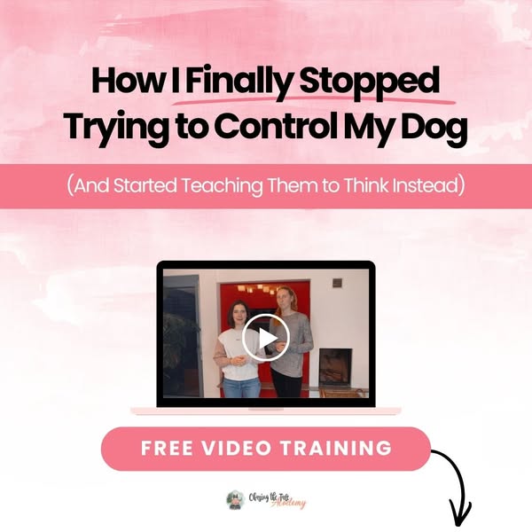 [FREE] Stop Controlling Your Agility Dog. Do This Instead.