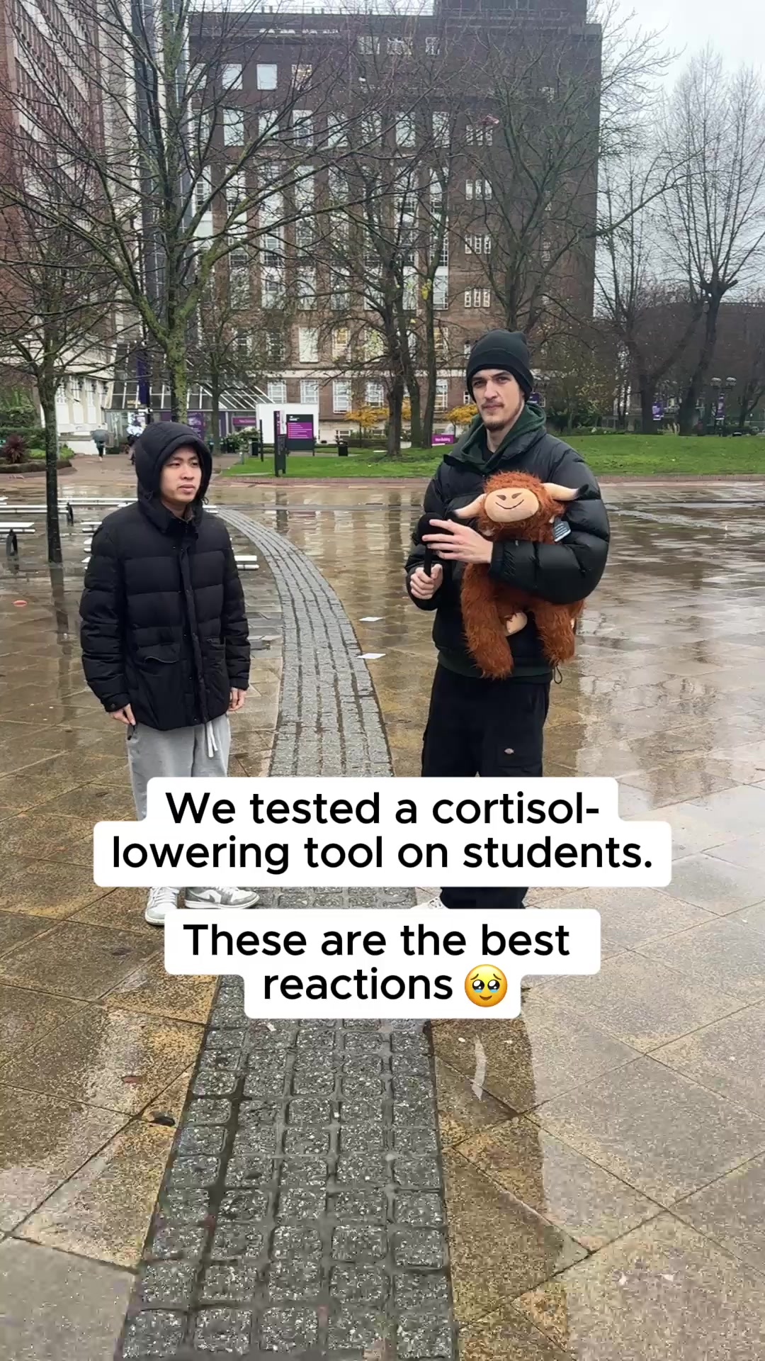 Feel Safe, Calm, and Held