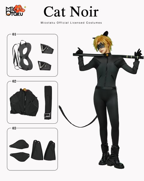 Miraculous Ladybug&Cat Noir Costumes