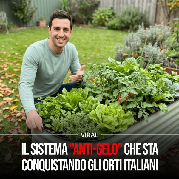 Il tuo orto, finalmente in ordine