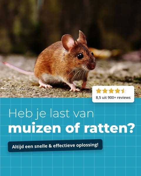 Wacht niet tot het te laat is!