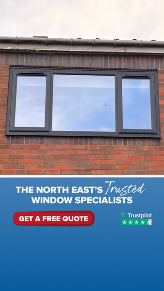 Trusted Window Experts