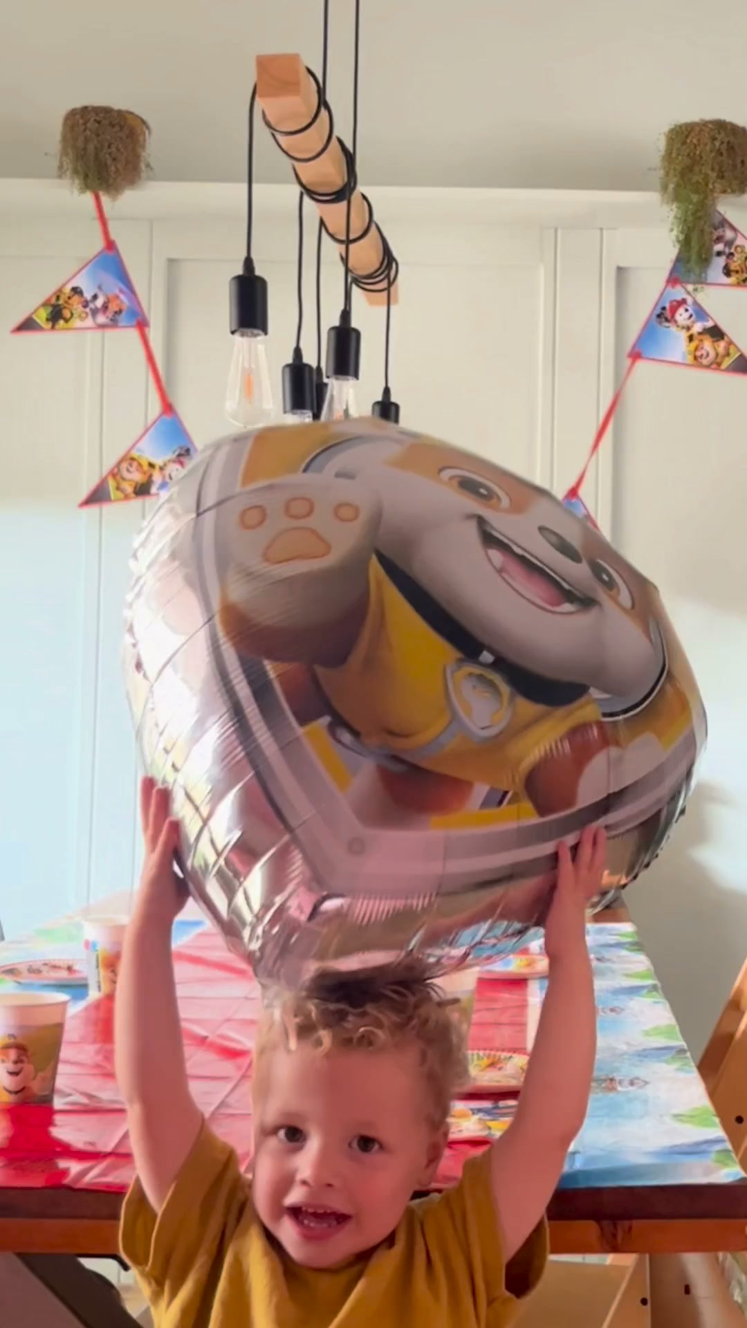 Alles voor een Paw Patrol kinderfeestje