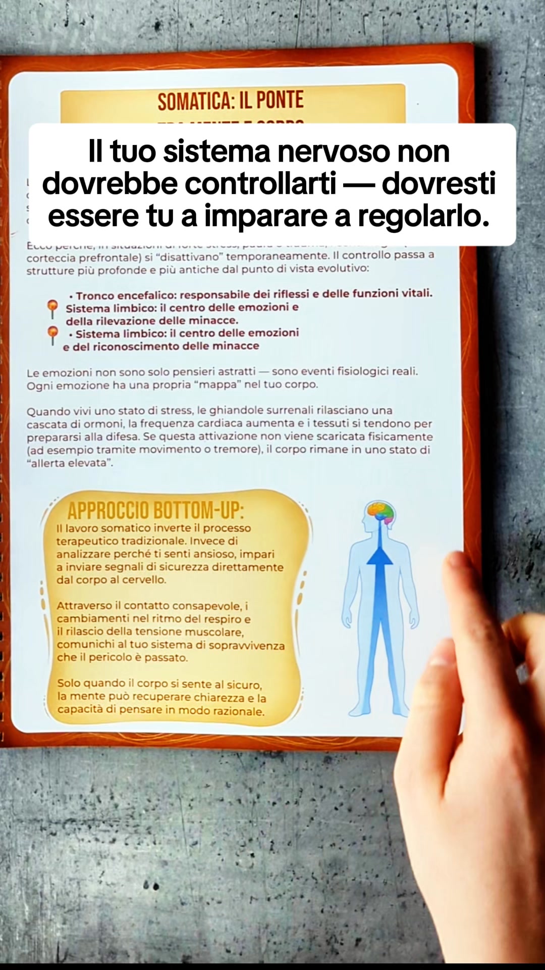 Workbook di Terapia Somatica