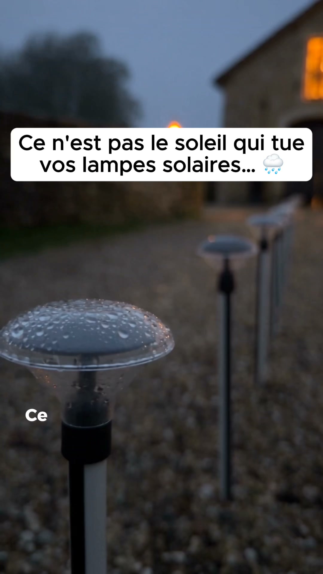 1 achetée = 1 offerte
