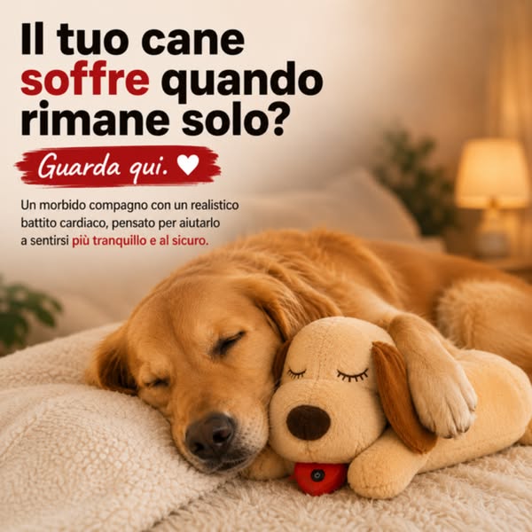 Spedizione Gratuita