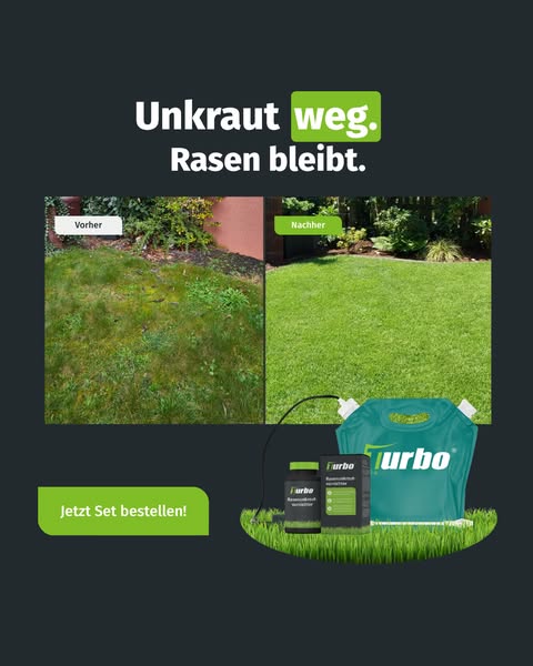 Unkraut raus. Rasen bleibt grün.