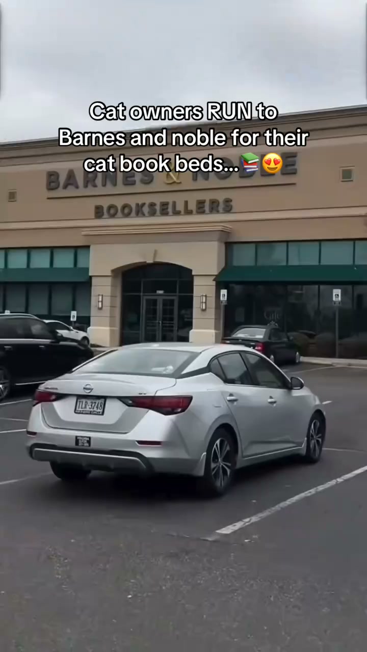 Book Inspired Cat Beds
