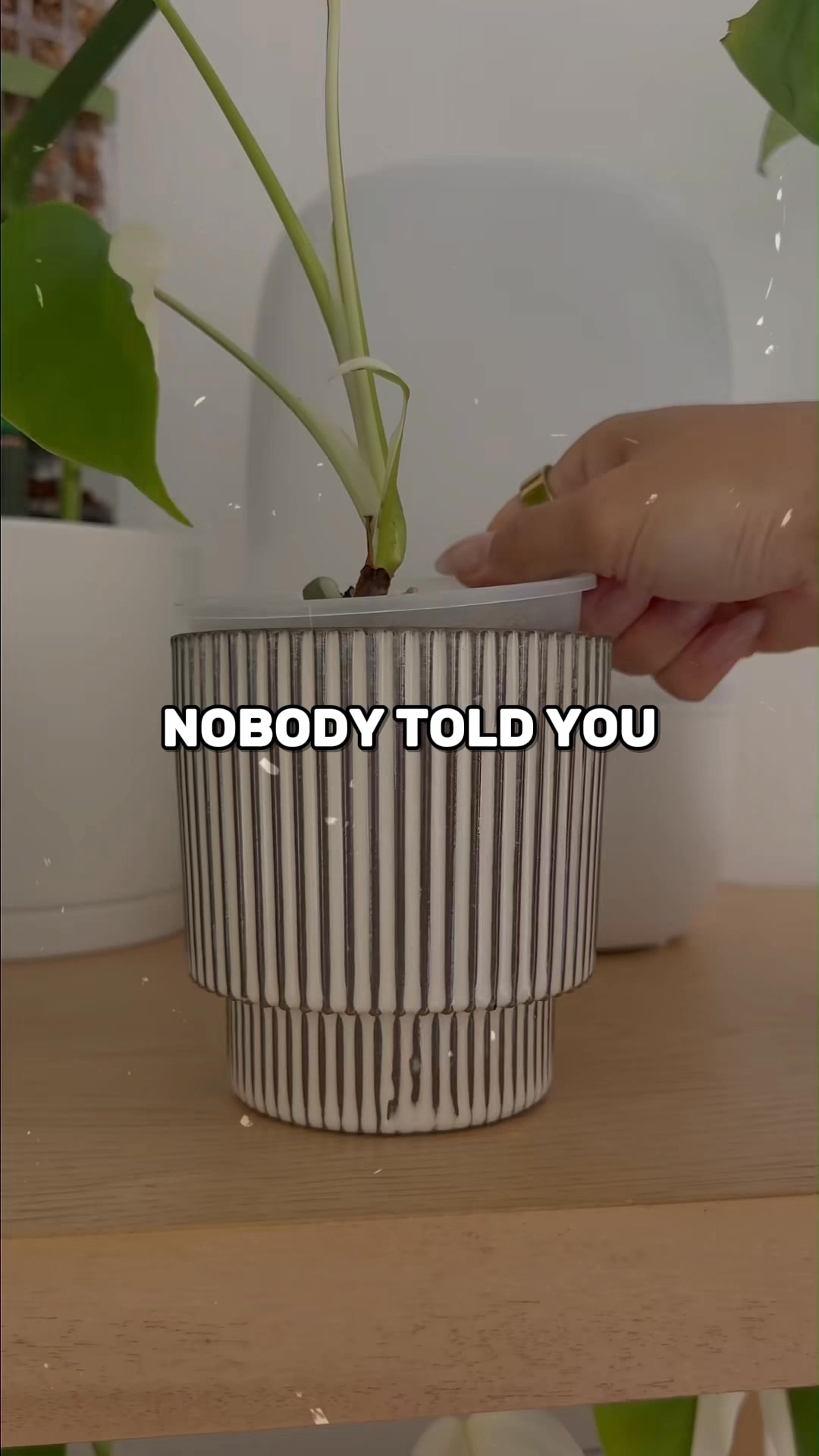 Plant Parents' Best Friend