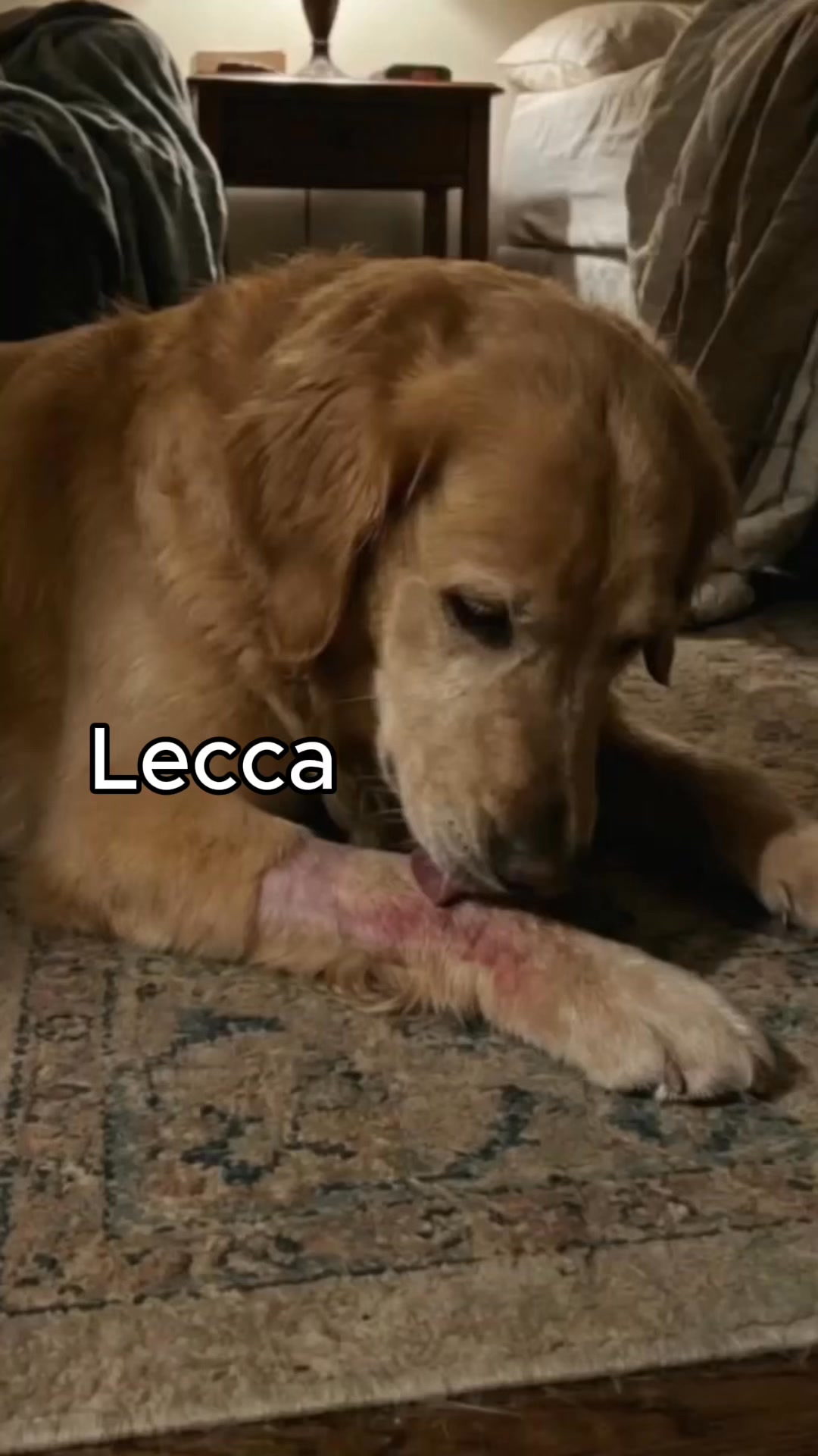 Questo è quello che uso