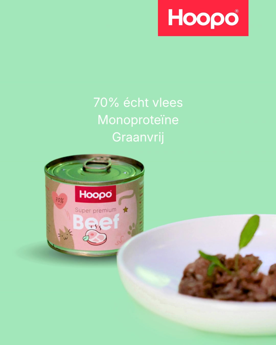 Geef je kat wat hij mist