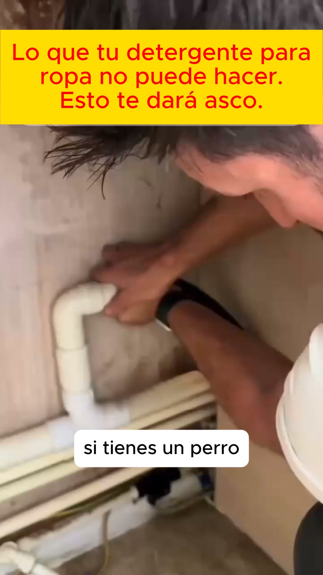 Reparo lavadoras. Y sé lo que hay dentro de la tuya.