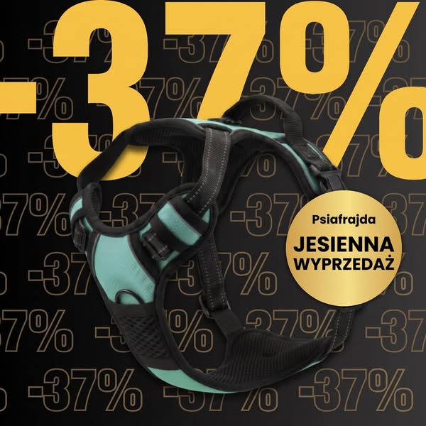 Jak oduczyć psa ciągnięcia na smyczy bez tresury