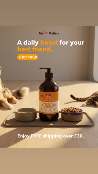 20p a day.