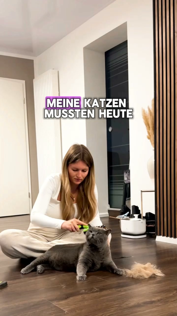 Die Bürste, die deine Katze akzeptiert