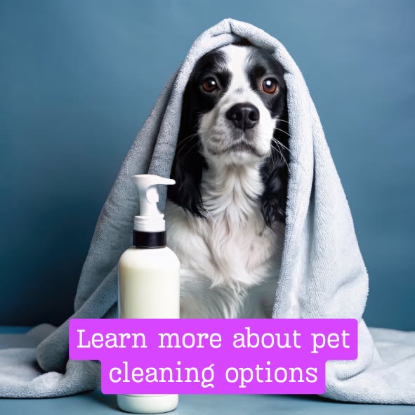 Learn more about pet cleaning options