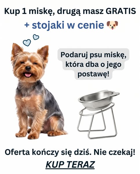To miska, nie jedzenie.