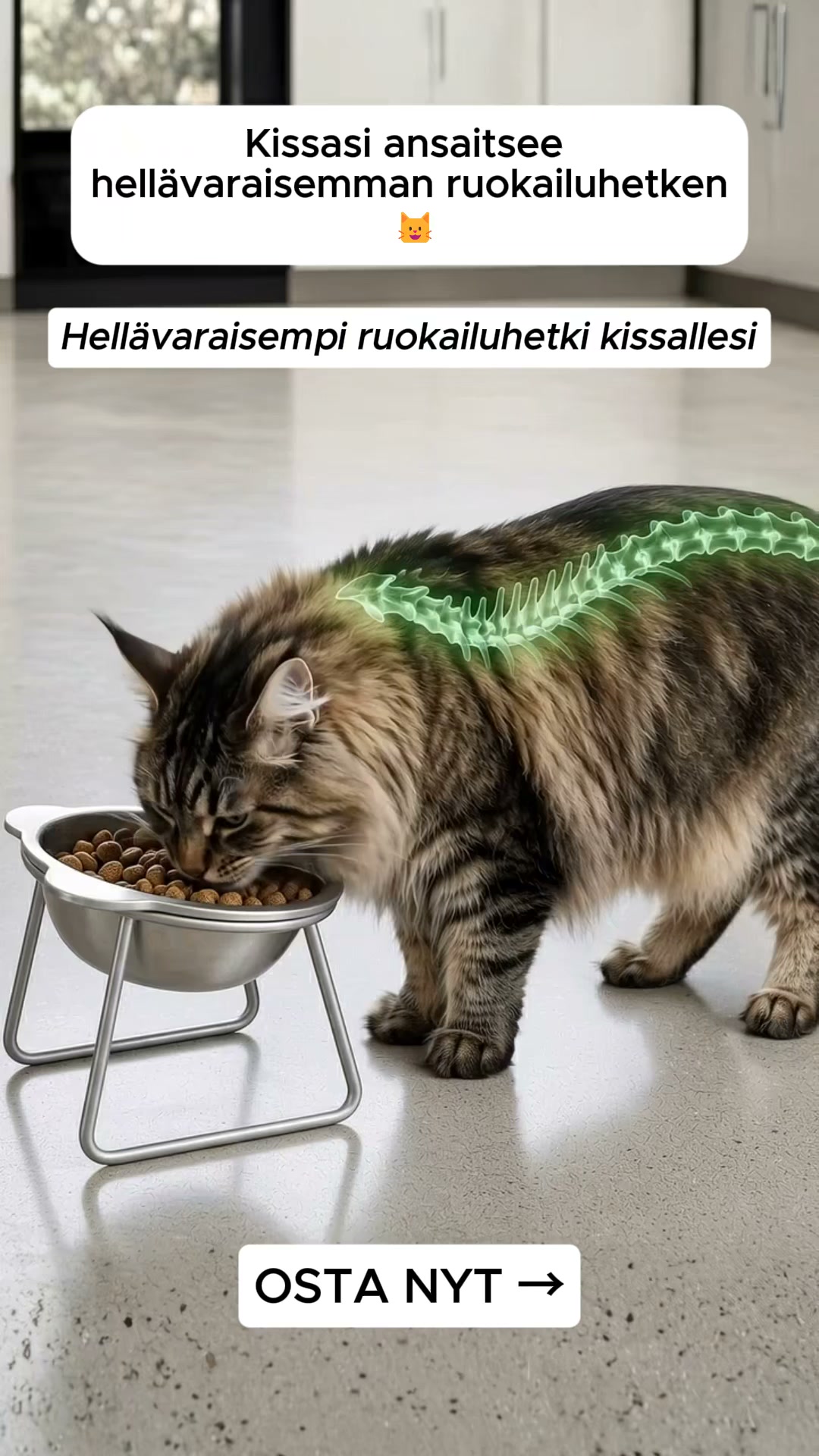 Ergonominen 15° kulho kissoille