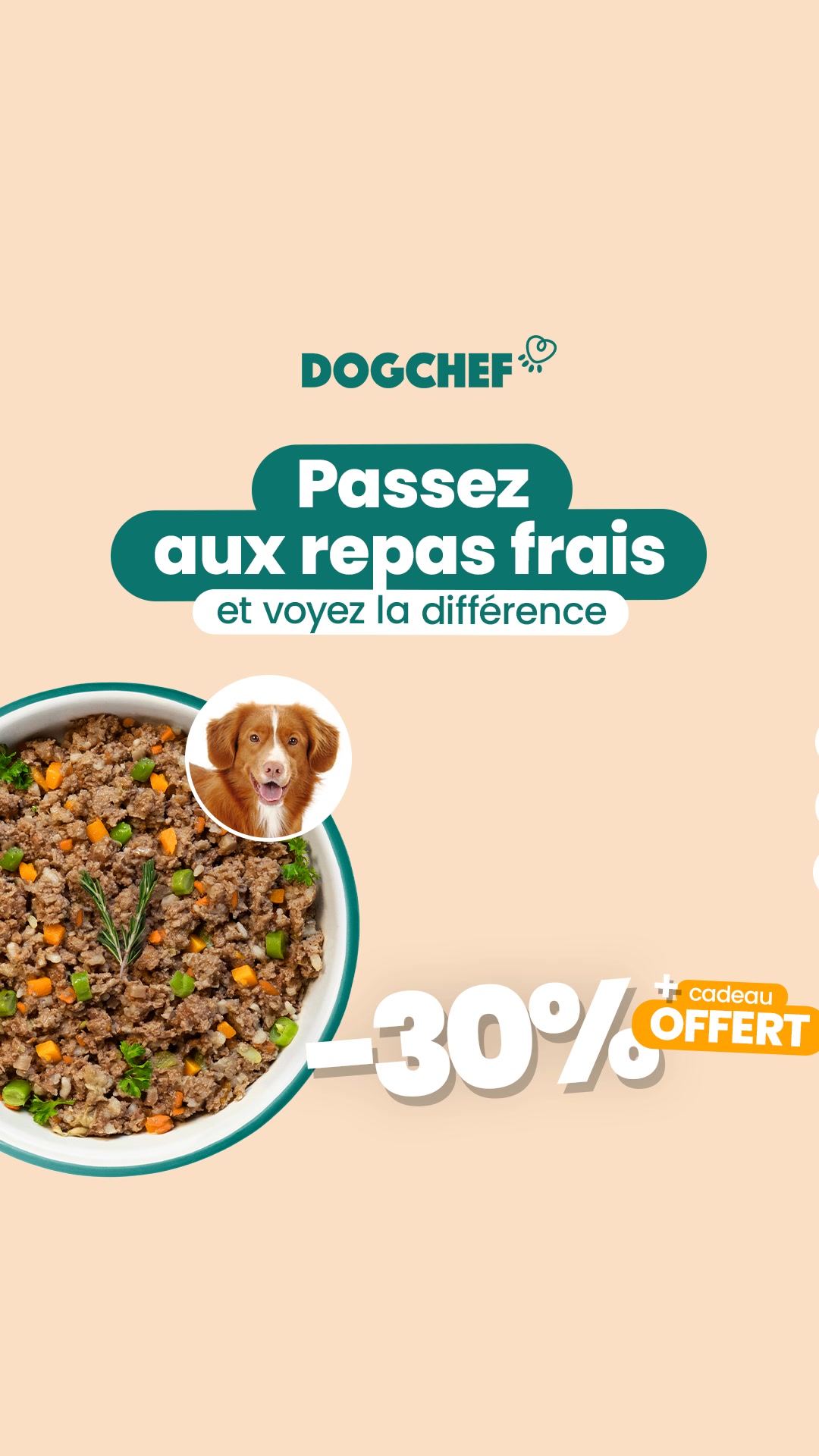 Offre limitée -30%